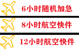 三家子航空邮寄快递公司,专业空运当天件